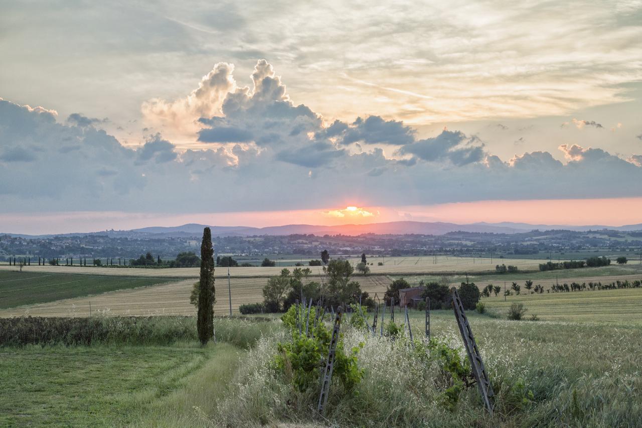 Casa Bellavista B&B Cortona Bagian luar foto