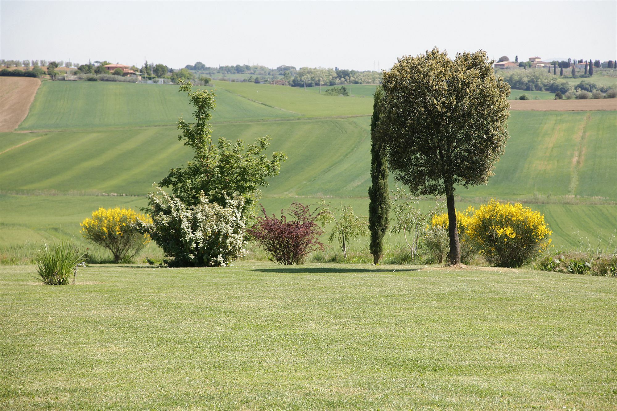 Casa Bellavista B&B Cortona Bagian luar foto